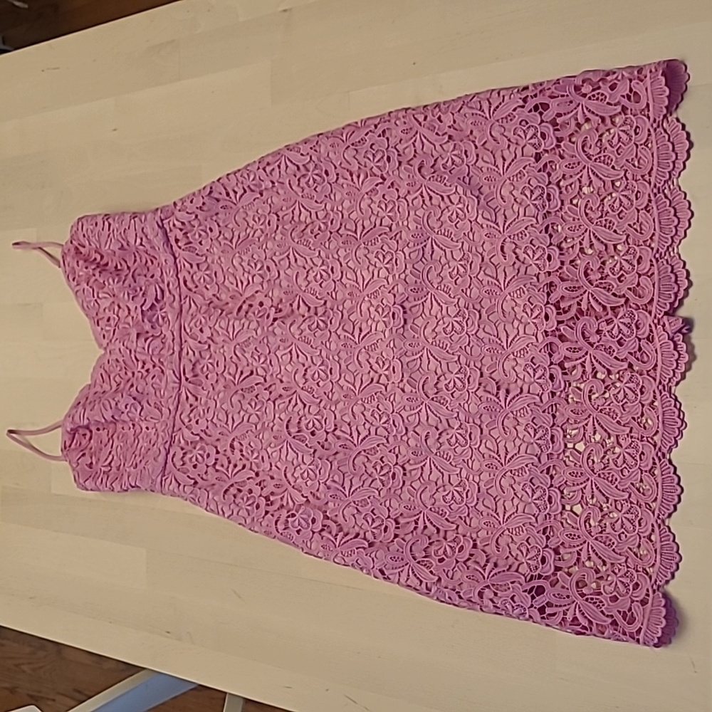 NWT J.Crew Guipure Pink Spaghetti Strap Lace Lined Scalloped Neckline/Hem Dress
